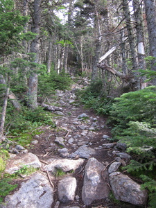 Appalachian Trail 