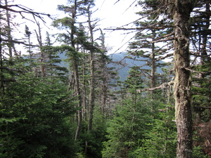 Appalachian Trail 