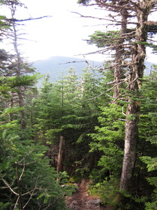 Appalachian Trail 