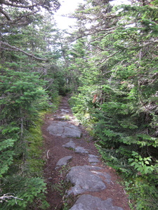 Appalachian Trail 