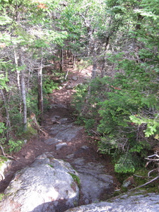 Appalachian Trail 