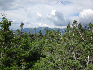 Appalachian Trail 