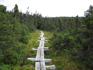 Appalachian Trail 