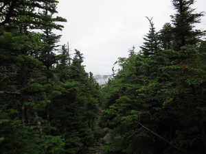 Appalachian Trail 