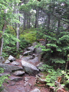 Appalachian Trail 