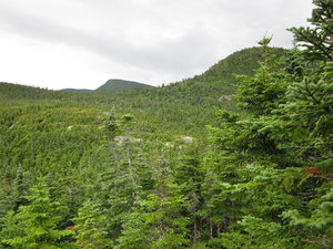 Appalachian Trail 