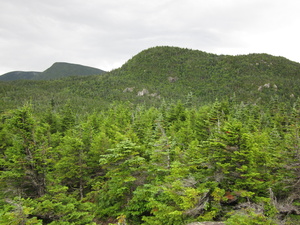 Appalachian Trail 