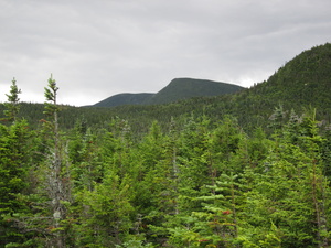 Appalachian Trail 