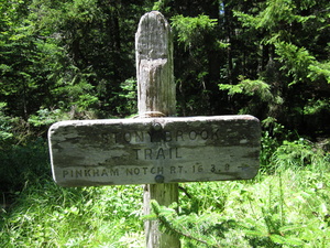 Appalachian Trail Stoney Brook Trail