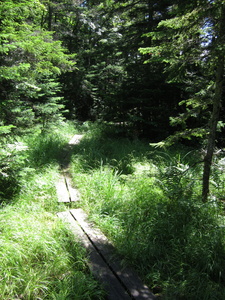 Appalachian Trail 