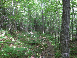 Appalachian Trail 