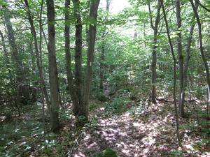 Appalachian Trail 