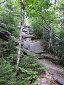 Appalachian Trail 