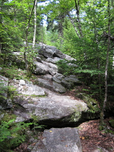 Appalachian Trail 