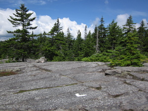 Appalachian Trail 