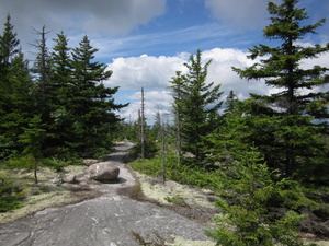 Appalachian Trail 