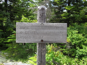 Appalachian Trail Centennial Trail - Mount Hays