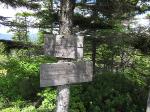 Appalachian Trail Centennial Trail - Mount Hays