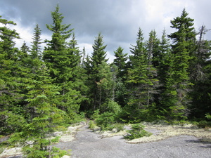 Appalachian Trail 