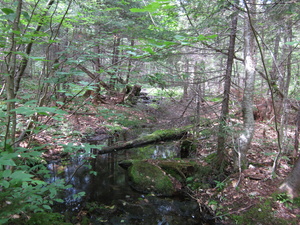 Appalachian Trail 