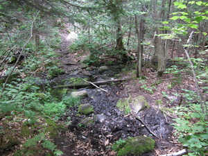 Appalachian Trail 