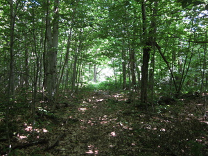 Appalachian Trail 