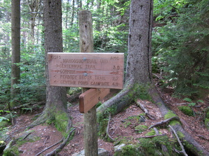 Appalachian Trail Mahoosic Trail, Trident Col Campsite