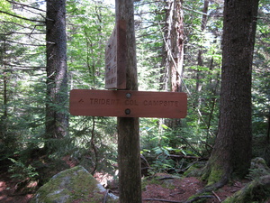 Appalachian Trail Mahoosic Trail, Trident Col Campsite