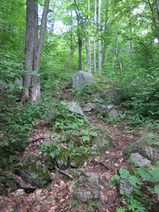 Appalachian Trail 