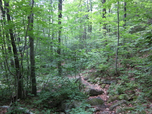 Appalachian Trail 