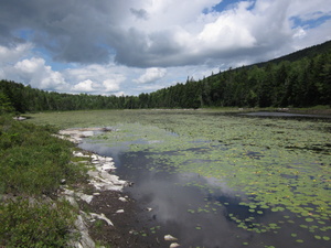 Appalachian Trail 