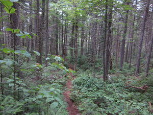 Appalachian Trail 