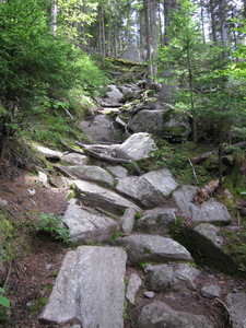 Appalachian Trail 