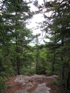 Appalachian Trail 