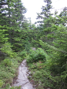 Appalachian Trail 