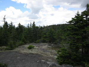 Appalachian Trail 