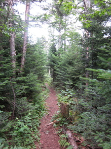 Appalachian Trail 