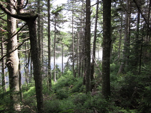 Appalachian Trail 