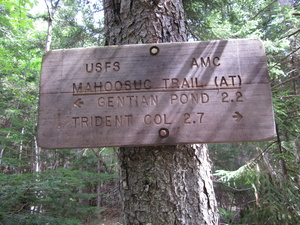 Appalachian Trail Mahoosic Trail