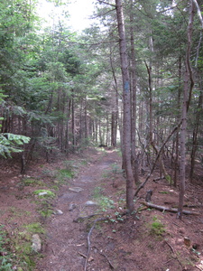 Appalachian Trail 