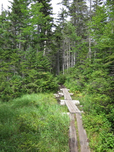 Appalachian Trail 