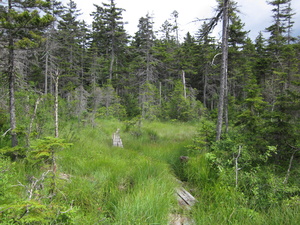 Appalachian Trail 