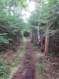 Appalachian Trail 