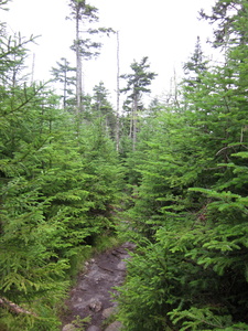 Appalachian Trail 