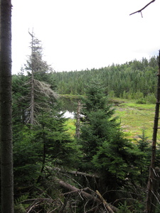 Appalachian Trail 