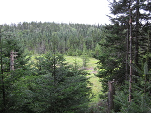 Appalachian Trail 