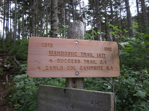 Appalachian Trail Gentian Pond Campsite