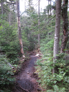 Appalachian Trail 