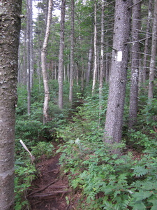 Appalachian Trail 