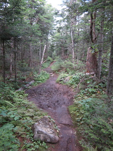 Appalachian Trail 